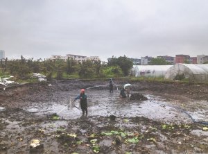 青山河道鱼塘清淤